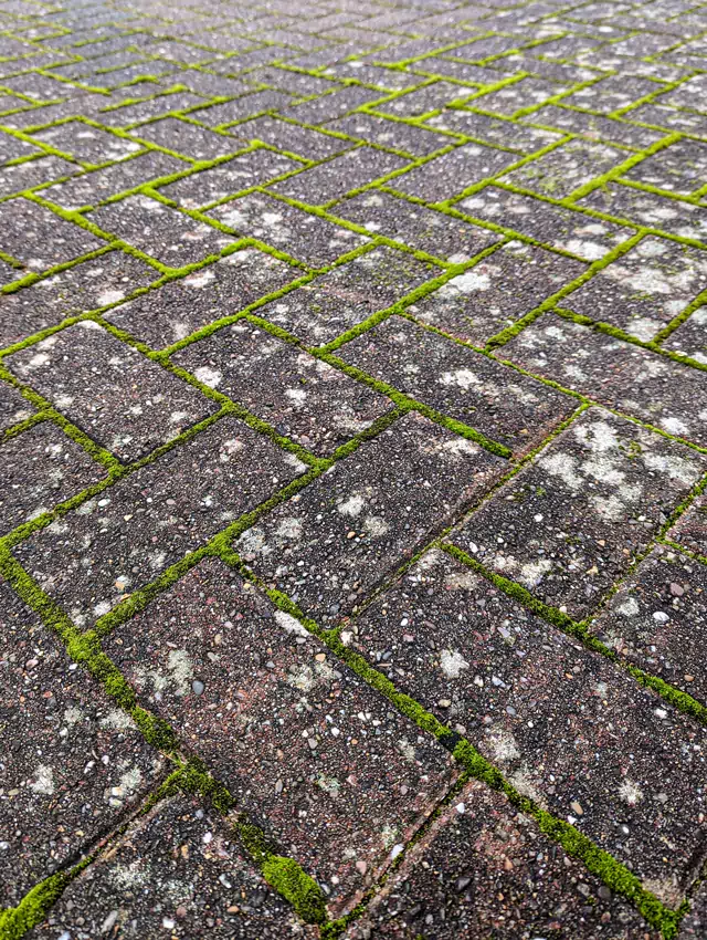 Block paving driveway cleaning before photo