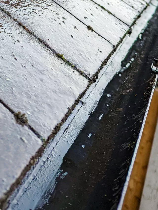 Gutter cleaning moss after photo