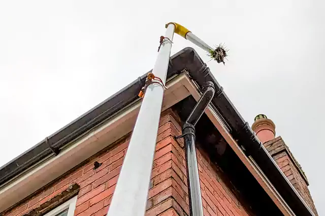 Gutter_Page_2 Removing grass from guttering using a gutter vacuum
