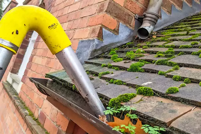 Gutter_Page_3 Removing plants, moss and leaves from guttering using a gutter vacuum