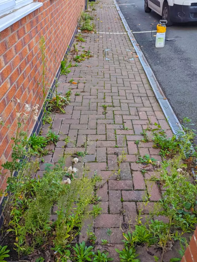 Pressure washing block paving pathway before photo
