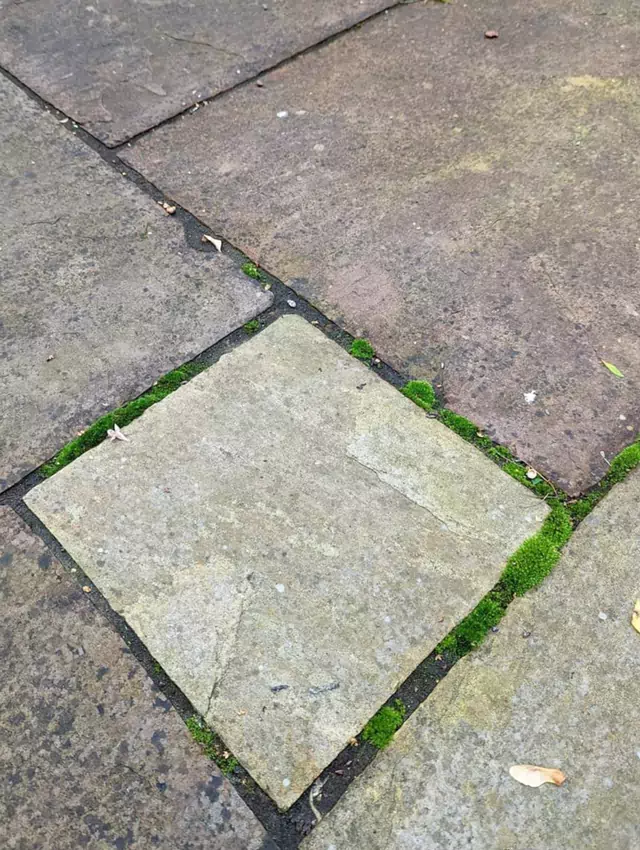 Pressure washing slab patio before photo